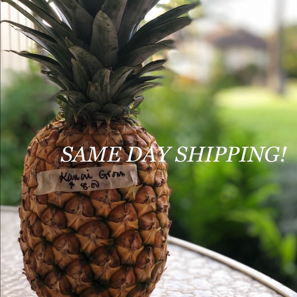 And As always, same day shipping!